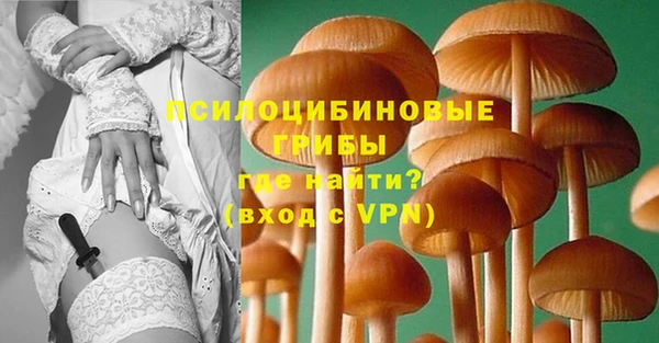 марки lsd Абаза