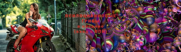jwh Абинск