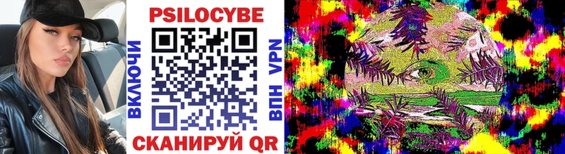 Галлюциногенные грибы мицелий  Кедровый 